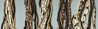 JewelryVilla Shell and bead 5 strand teen necklaces